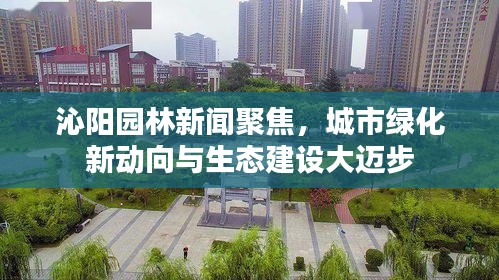 沁阳园林新闻聚焦，城市绿化新动向与生态建设大迈步