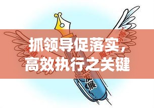 抓领导促落实，高效执行之关键路径，助力事业腾飞！