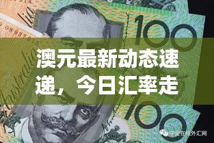 澳元最新动态速递，今日汇率走势及市场影响分析