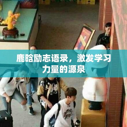 鹿晗励志语录，激发学习力量的源泉