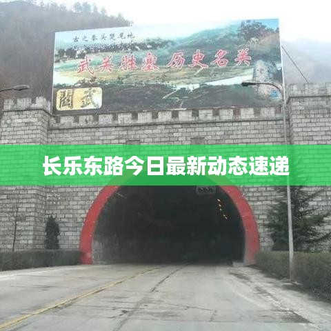 长乐东路今日最新动态速递