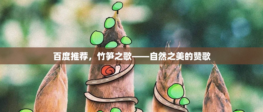 百度推荐，竹笋之歌——自然之美的赞歌