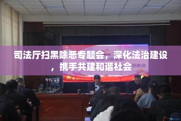 司法厅扫黑除恶专题会，深化法治建设，携手共建和谐社会