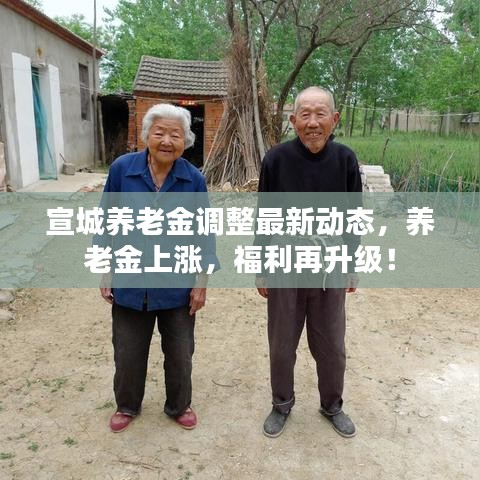 宣城养老金调整最新动态，养老金上涨，福利再升级！