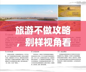 旅游不做攻略，别样视角看旅行体验