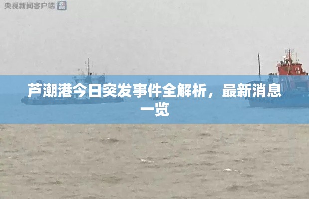 芦潮港今日突发事件全解析，最新消息一览