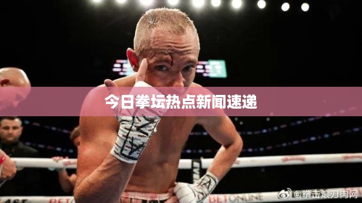 今日拳坛热点新闻速递
