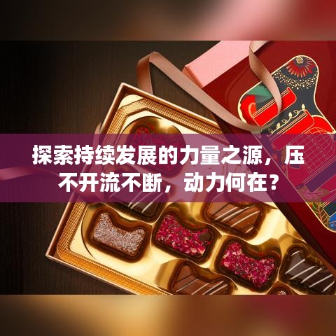 探索持续发展的力量之源，压不开流不断，动力何在？