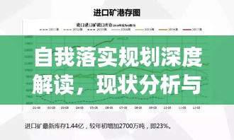 自我落实规划深度解读，现状分析与未来展望