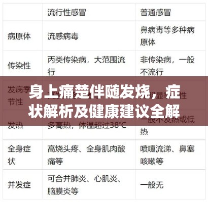 身上痛楚伴随发烧，症状解析及健康建议全解析