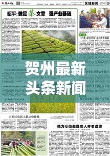 贺州最新头条新闻一网打尽综述
