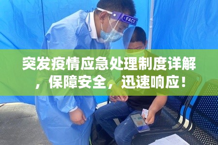突发疫情应急处理制度详解，保障安全，迅速响应！