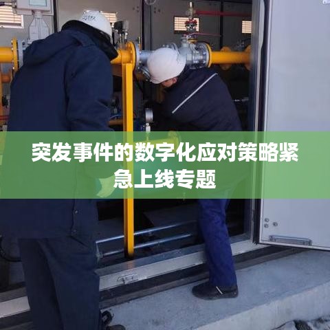 突发事件的数字化应对策略紧急上线专题