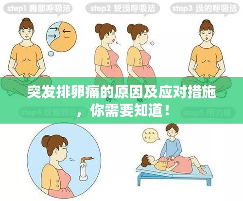 突发排卵痛的原因及应对措施，你需要知道！