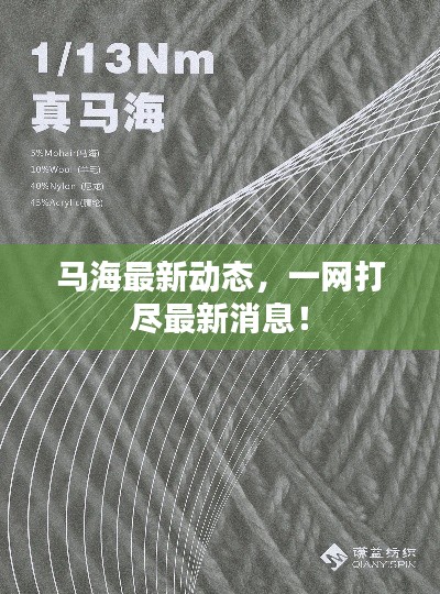 马海最新动态，一网打尽最新消息！