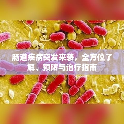 肠道疾病突发来袭，全方位了解、预防与治疗指南