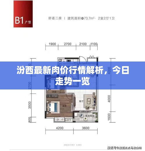 汾西最新肉价行情解析，今日走势一览
