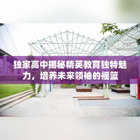 独家高中揭秘精英教育独特魅力，培养未来领袖的摇篮