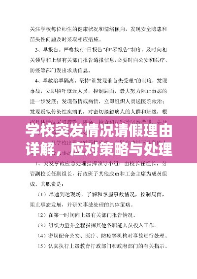 学校突发情况请假理由详解，应对策略与处理之道
