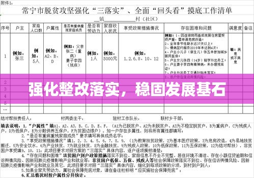 强化整改落实，稳固发展基石