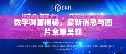 数字财富揭秘，最新消息与图片全景呈现