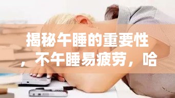 揭秘午睡的重要性，不午睡易疲劳，哈欠连连来袭！