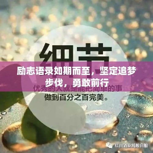 励志语录如期而至，坚定追梦步伐，勇敢前行