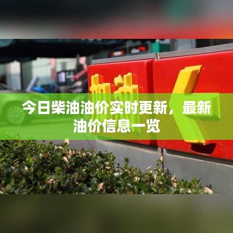 今日柴油油价实时更新，最新油价信息一览