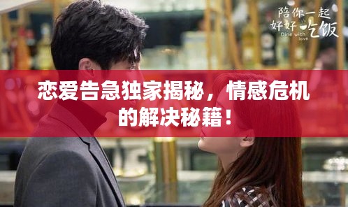 恋爱告急独家揭秘，情感危机的解决秘籍！