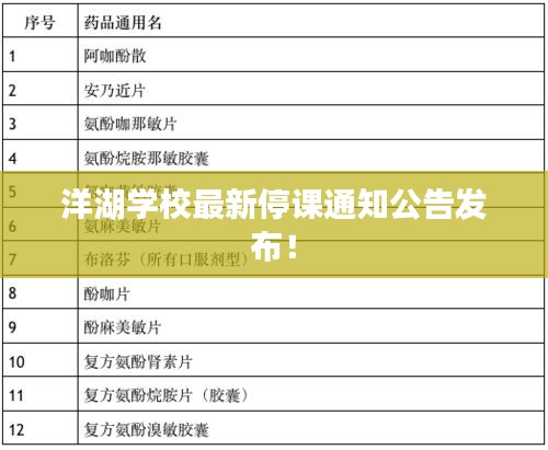 洋湖学校最新停课通知公告发布！