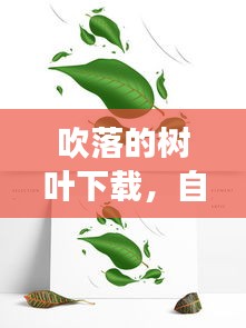 吹落的树叶下载，自然与音乐的梦幻交融之旅
