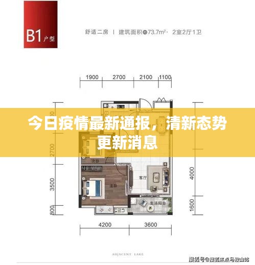今日疫情最新通报，清新态势更新消息
