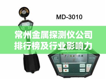 常州金属探测仪公司排行榜及行业影响力解析