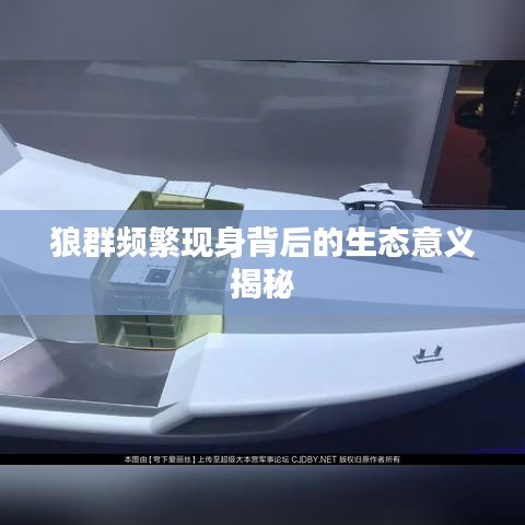 狼群频繁现身背后的生态意义揭秘