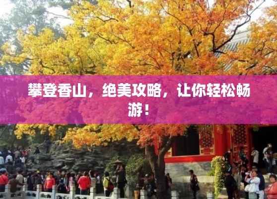 攀登香山，绝美攻略，让你轻松畅游！