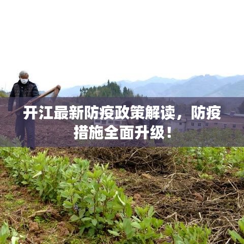 开江最新防疫政策解读，防疫措施全面升级！