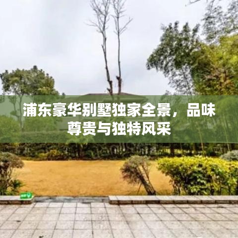浦东豪华别墅独家全景，品味尊贵与独特风采