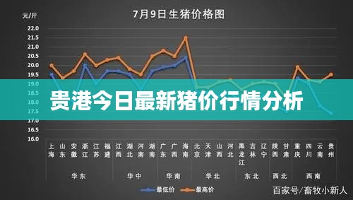 贵港今日最新猪价行情分析