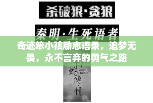 奇迹笨小孩励志语录，追梦无畏，永不言弃的勇气之路