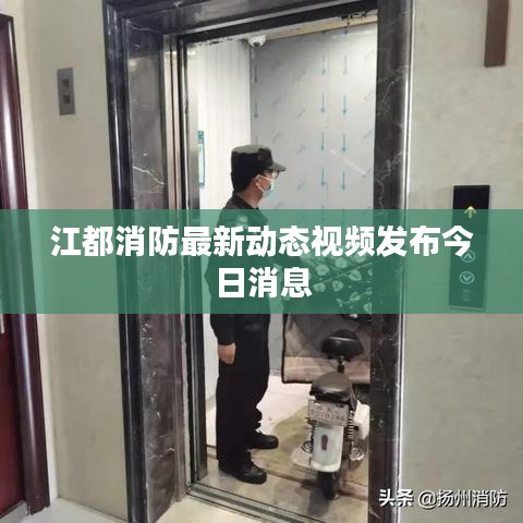 江都消防最新动态视频发布今日消息