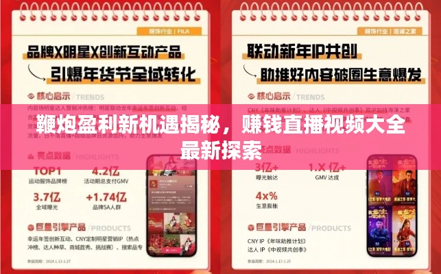 鞭炮盈利新机遇揭秘，赚钱直播视频大全最新探索