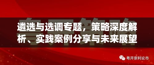 遴选与选调专题，策略深度解析、实践案例分享与未来展望