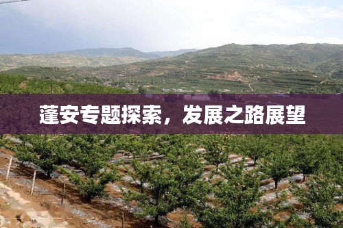 蓬安专题探索，发展之路展望