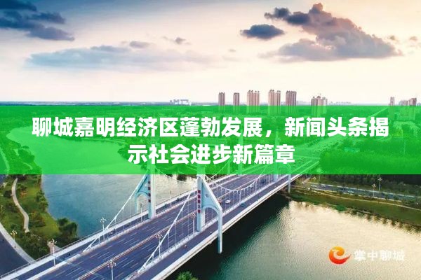 聊城嘉明经济区蓬勃发展，新闻头条揭示社会进步新篇章