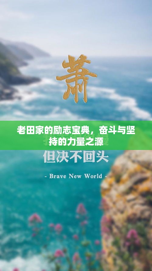 老田家的励志宝典，奋斗与坚持的力量之源