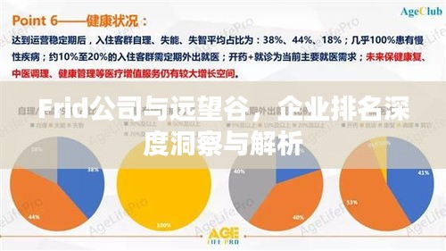 Frid公司与远望谷，企业排名深度洞察与解析