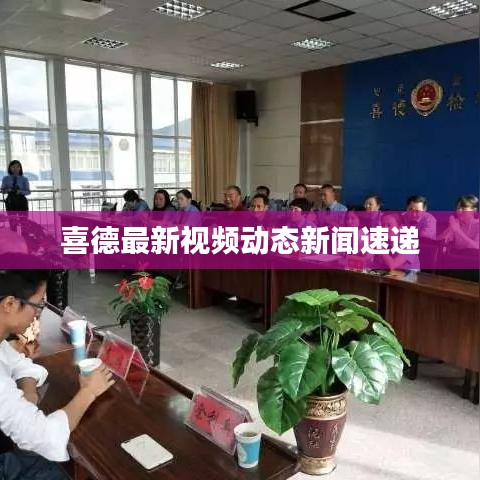 喜德最新视频动态新闻速递