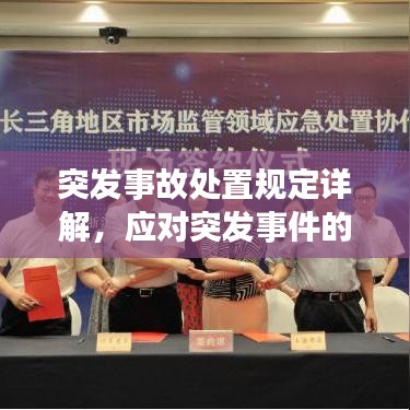 突发事故处置规定详解，应对突发事件的必备指南