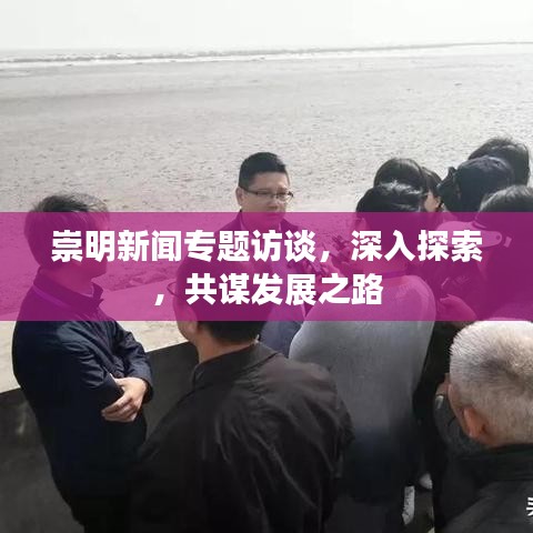 崇明新闻专题访谈，深入探索，共谋发展之路