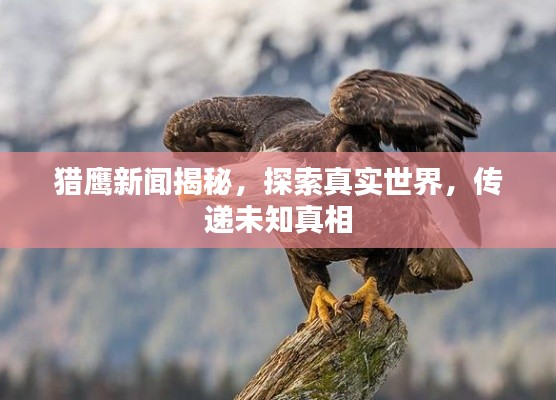 猎鹰新闻揭秘，探索真实世界，传递未知真相
